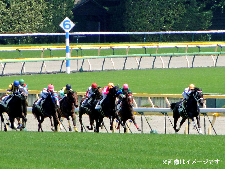 東京競馬場（府中競馬場）