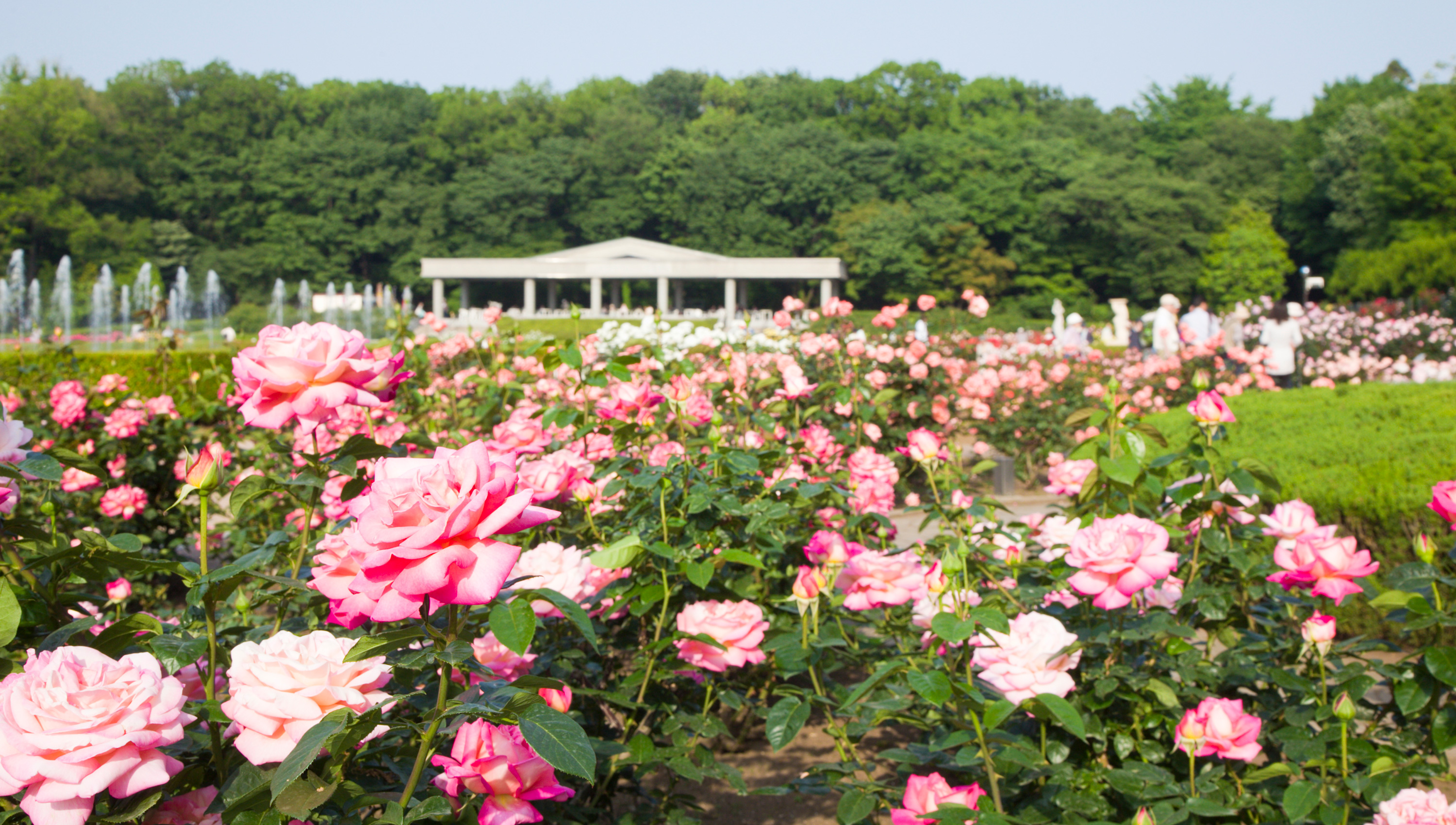 ホテル周辺観光イメージ