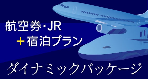 ダイナミックパッケージ