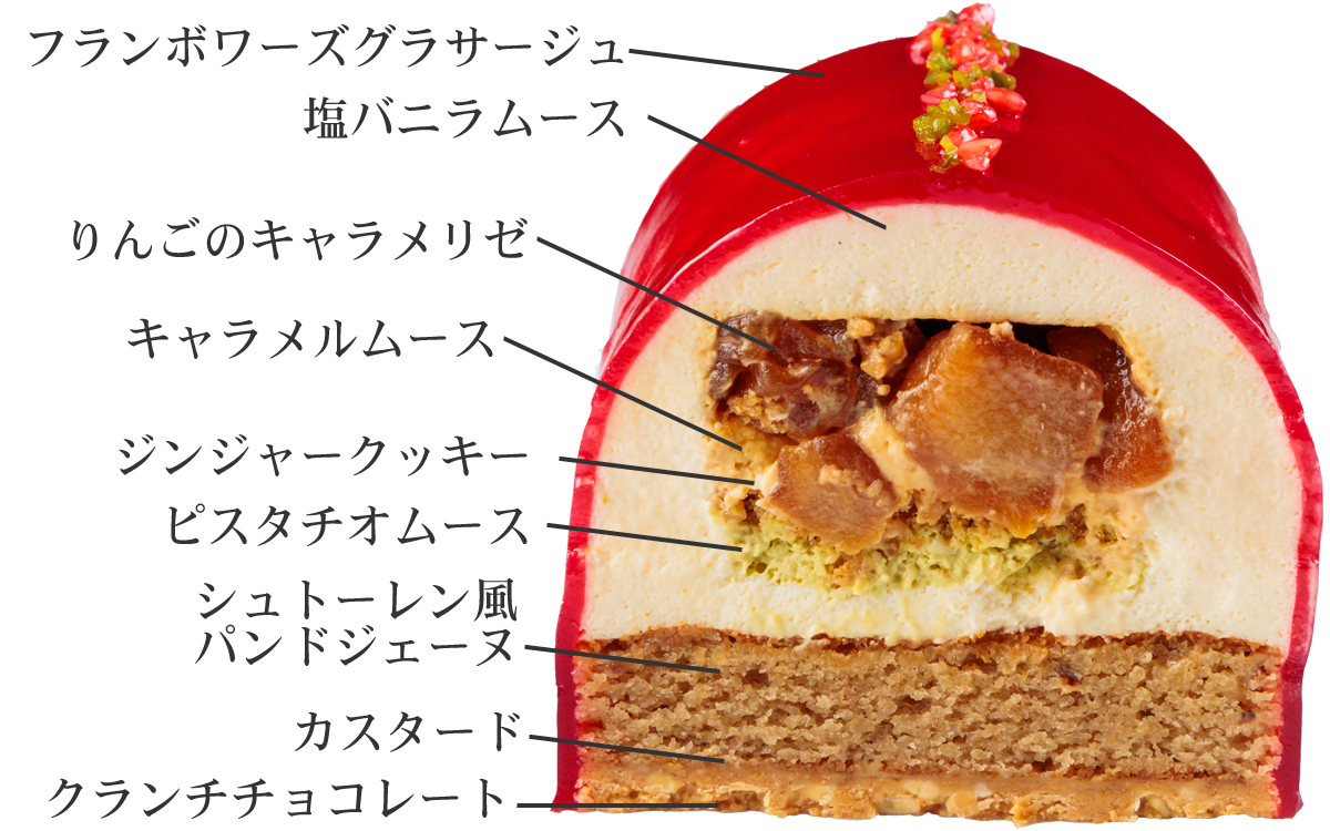 断面イメージ
