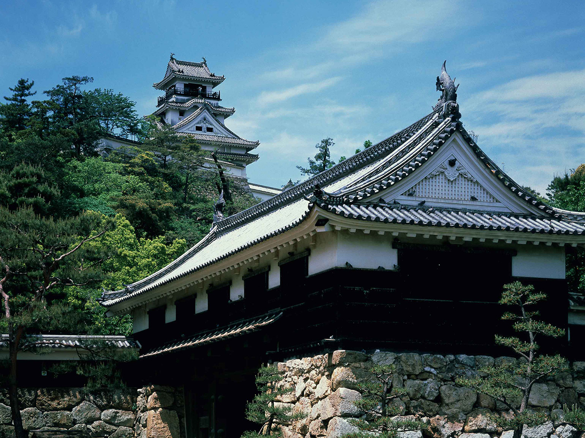 高知城イメージ