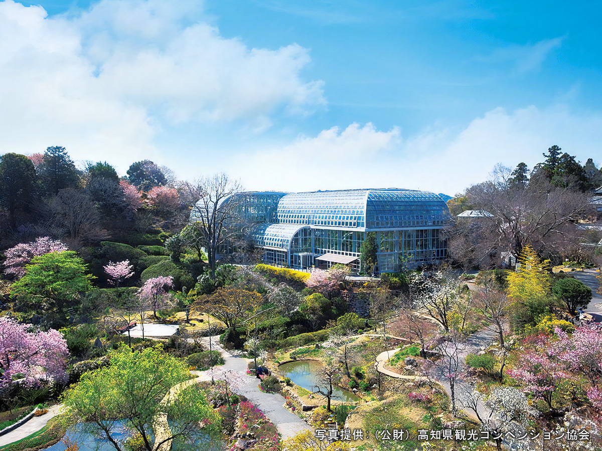 高知県立牧野植物園イメージ
