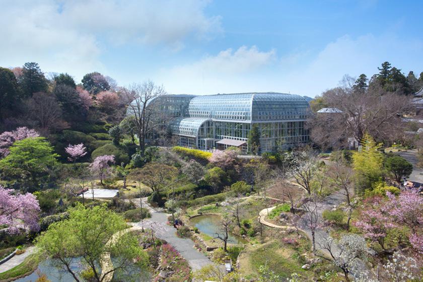 牧野植物園イメージ