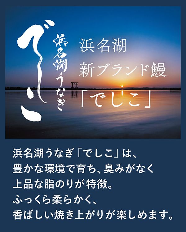 浜名湖新ブランド鰻「でしこ」イメージ
