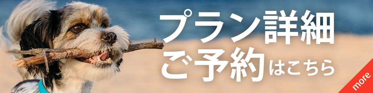 ペット(愛犬)プランへのリンクバナー