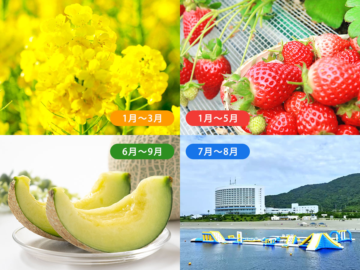 伊良湖の四季イメージ