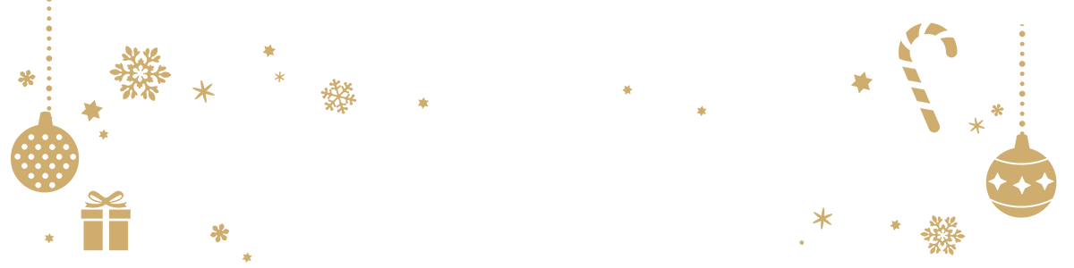 02.Christmas dinner viking