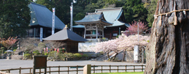 周辺観光イメージ