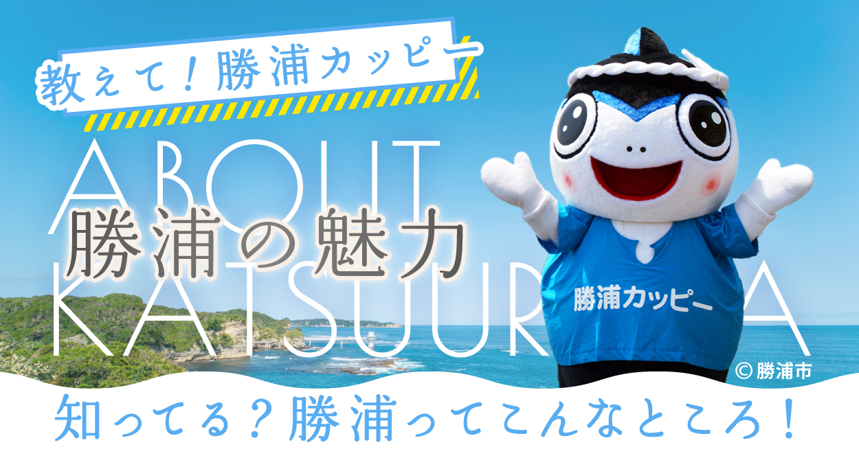 勝浦の魅力