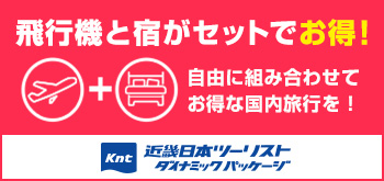 KNT　航空券＋宿泊プランのご紹介