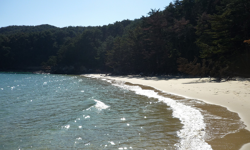 気仙沼大島イメージ