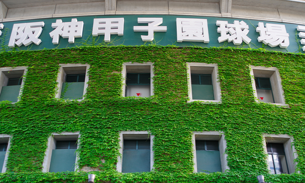 阪神甲子園球場イメージ