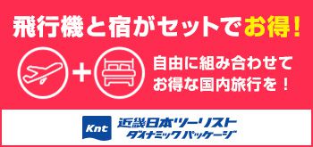 KNT　航空券＋宿泊プランのご紹介