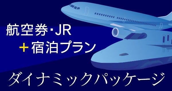 ダイナミックパッケージ