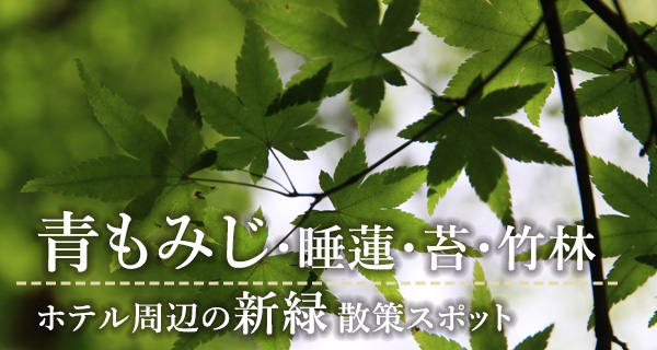 ホテル周辺を新緑散策