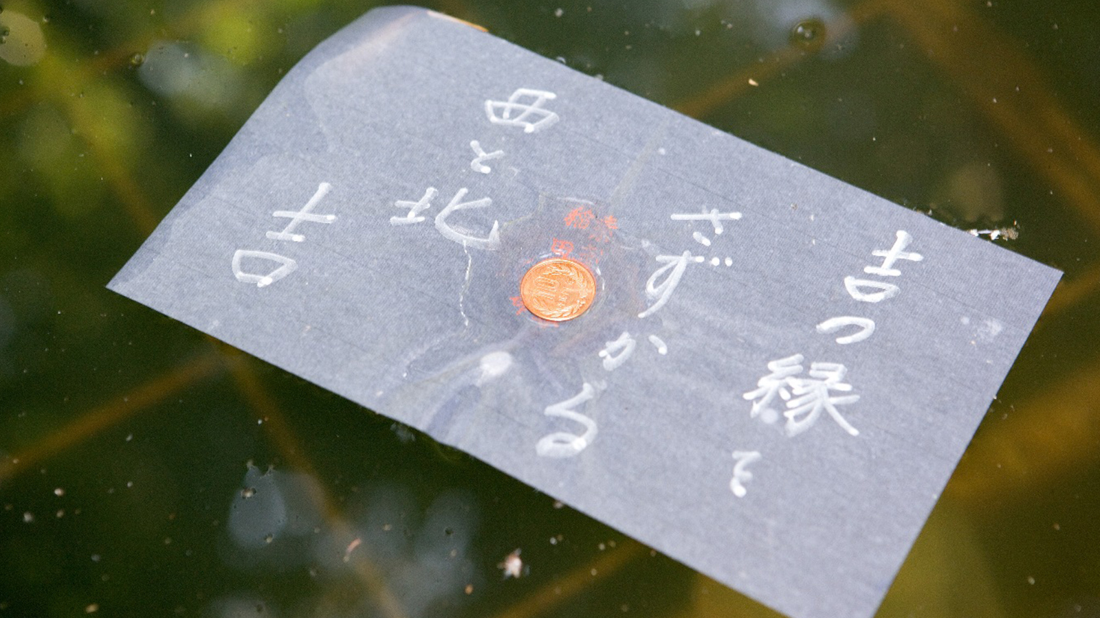 八重垣神社イメージ