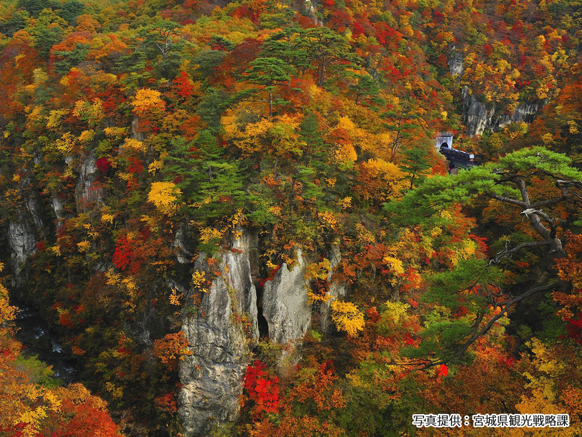 秋の鳴子峡（写真提供：宮城県観光戦略課）