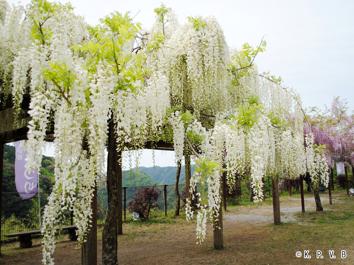 観光スポットイメージ