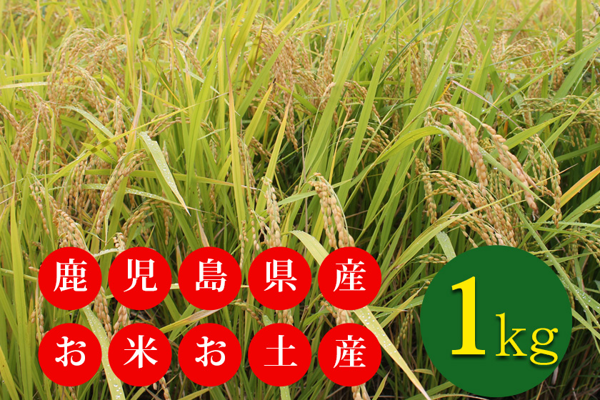 鹿児島県産お米1キロお土産付きプランイメージ