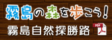 霧島の森を歩こう