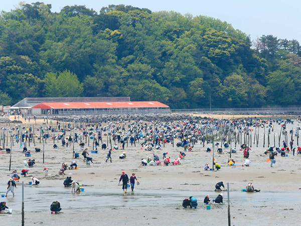 観光スポットイメージ