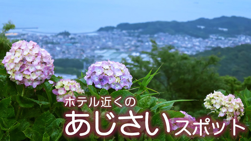 ホテル近くのあじさいスポット