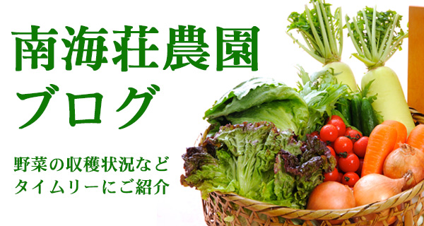 南海荘農園ブログ