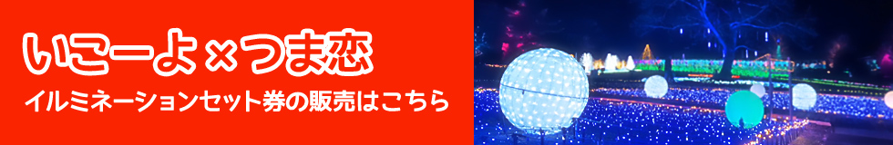 つま恋イルミネーション+いこーよ