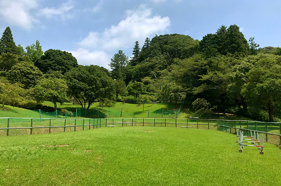 パドックエリア