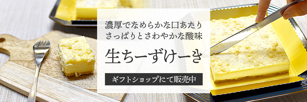 生ちーずけーき