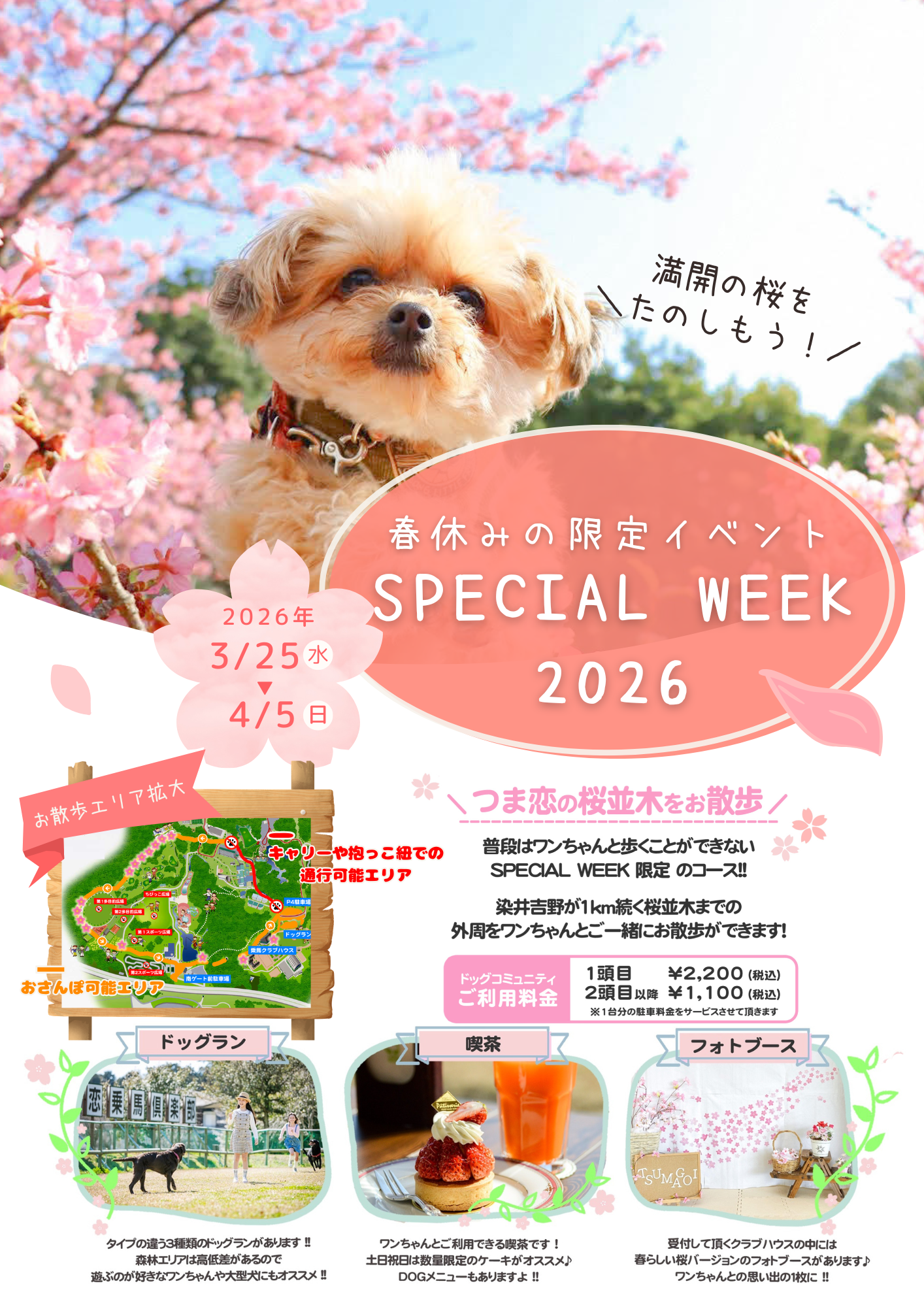 つま恋ドッグコミュニティ